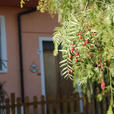 Bed and Breakfast Pepe Rosa Termoli Exterior foto