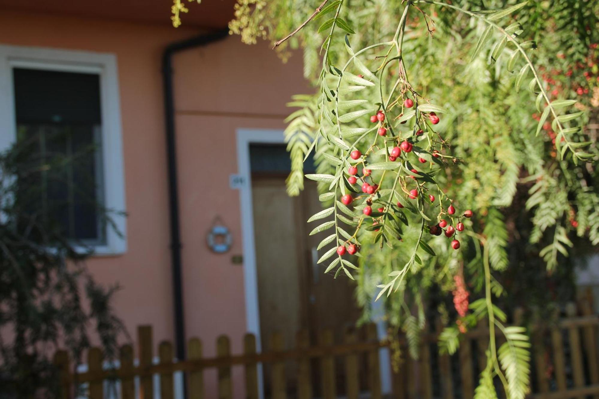 Bed and Breakfast Pepe Rosa Termoli Exterior foto